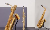 Saxophon-Tage 23. Februar - 11. März